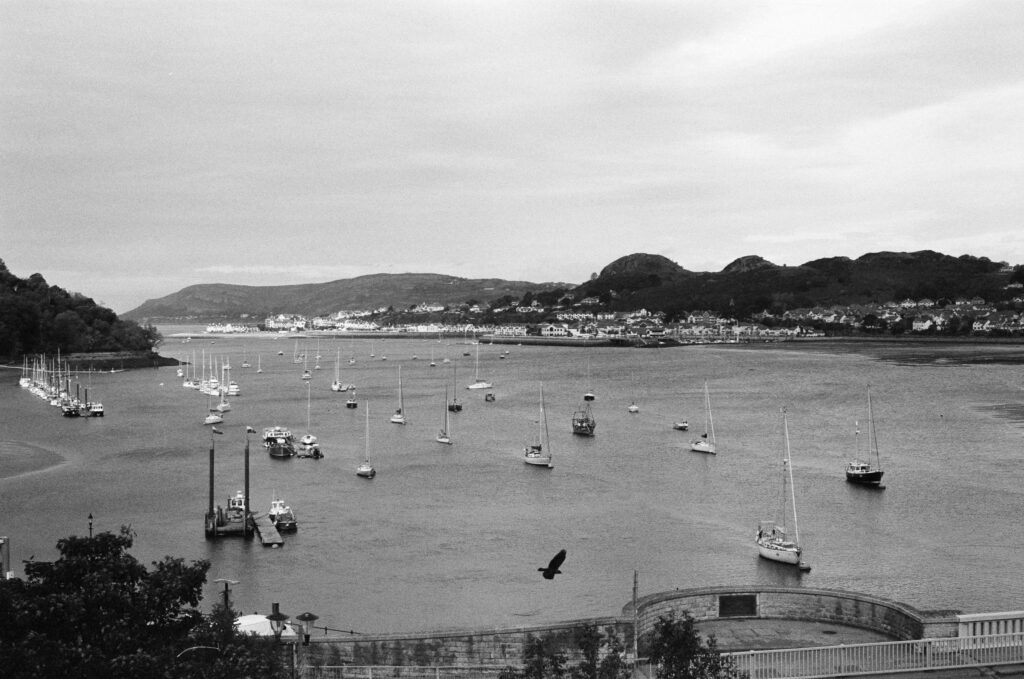 A harbor filled with numerous sailboats and small boats, with a town lining the distant shore beneath rolling hills.